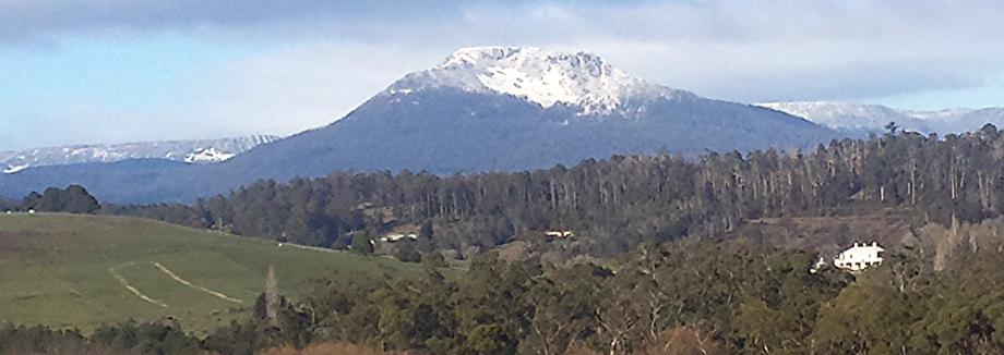 Quamby Bluff - accommodation in Deloraine