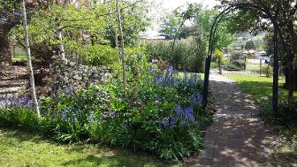 Spring at Tarcombe House garden